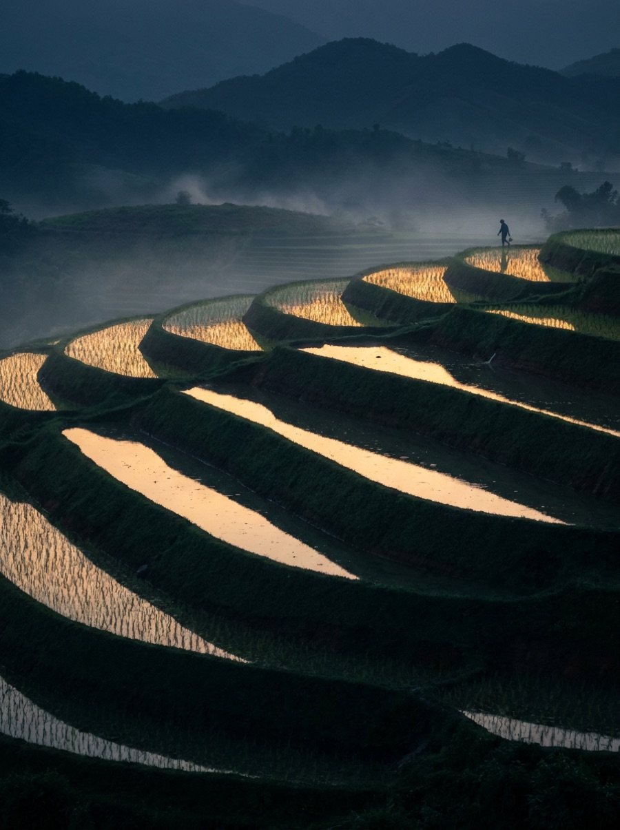 Terraced rice paddies mirroring golden dusk light in Laos